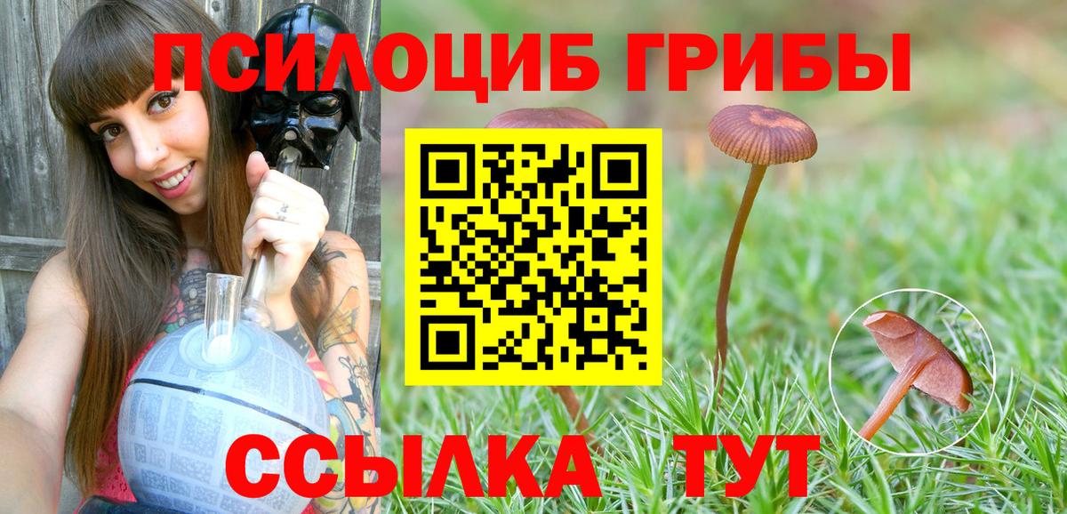 Псилоцибиновые грибы Psilocybine cubensis Троицк