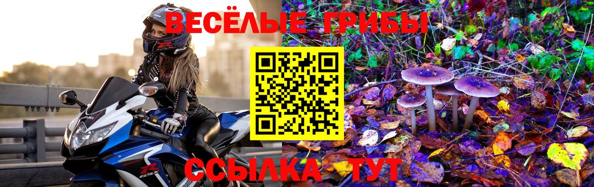 Троицк  Псилоцибиновые грибы ЛСД  купить   Вход с VPN 